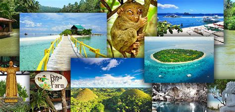 Activities Like Sightseeing Tours Diving Or Rentals • Bohol Sunside Resort