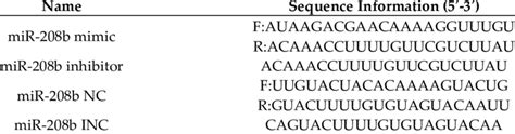 The Sequence Information Of Rna Oligo Download Scientific Diagram