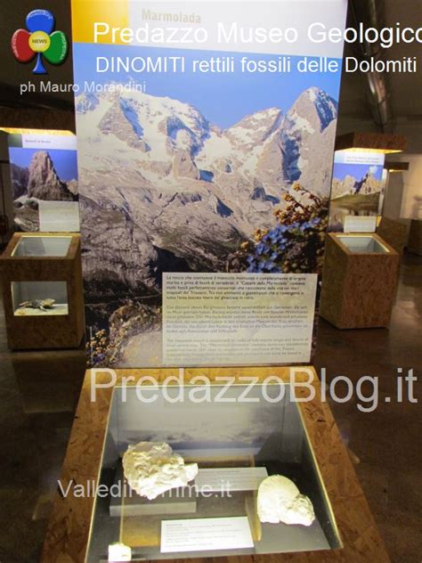 Predazzo Museo Geologico Delle Dolomiti Dinomiti Rettili Fossili