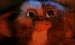 Gremlins Gizmo Beautiful Eyes GIFDB