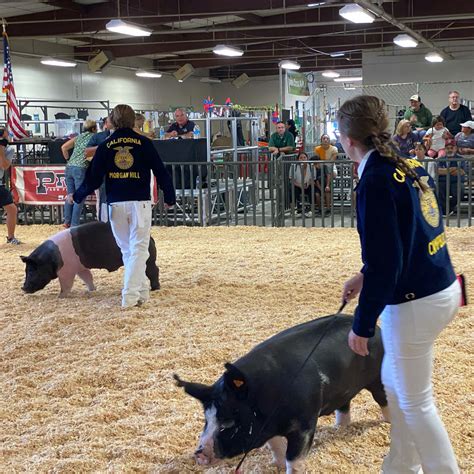 2022 Santa Clara County Fair | The Clover Foundation