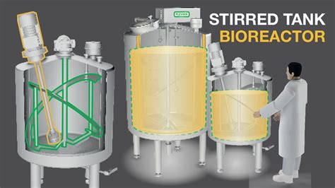 Stirred Tank Process Stirring Tank Pst Bioreactor For Fermentation