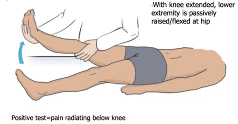 Codo Lower Extremity Exams Flashcards Quizlet