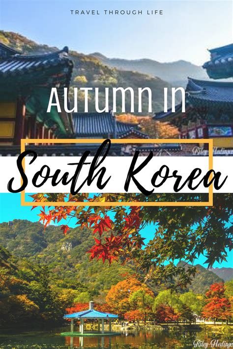 The Ultimate South Korea Fall Travel Guide Artofit