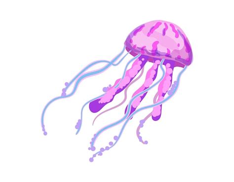 Premium Vector Jellyfish