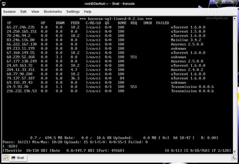 rTorrent Review