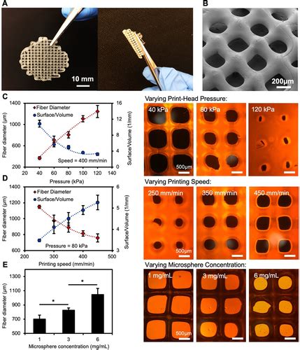 PLGA Microspheres Archives Perfect 3D Printing Filament