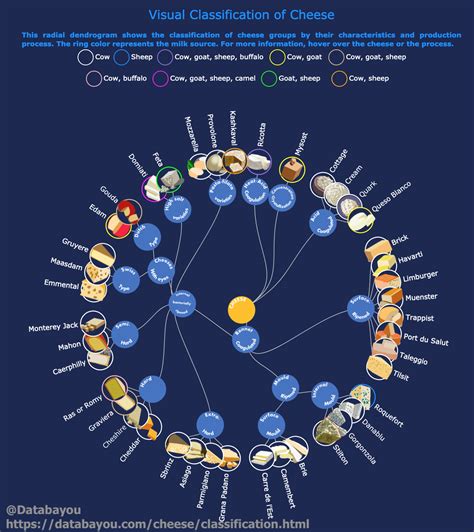 Cheese classification wheel | Types of cheese, Cheese making kit, Cheese