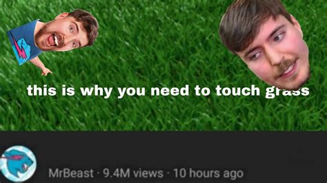 This Is Why You Need To Touch Grass Youtube