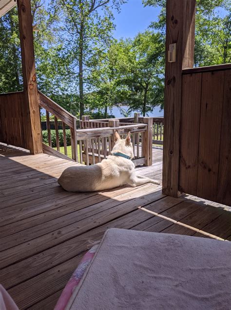 Baldwin county jail in alabama is implementing new safety protocols 2