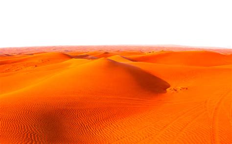 Arena Del Desierto Y Dunas Aisladas Sobre Fondo Blanco Foto De Stock Y