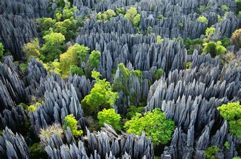 Madagascar Rainforest, Wildlife, Tsingy & Beach - Safarihub | National ...