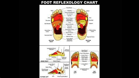 Foot Reflexology Map For Beginners 5 Youtube