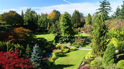 7 Best Parks in Vancouver for Relaxation and Recreation