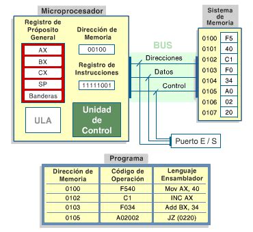 Estructura Funcionamiento De La Cpu Mind Map