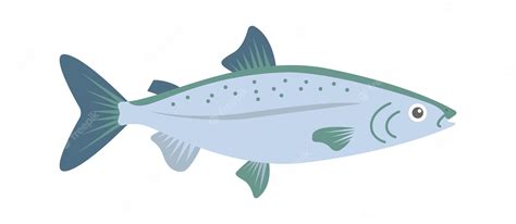 Premium Vector | Salmon sea fish vector illustration