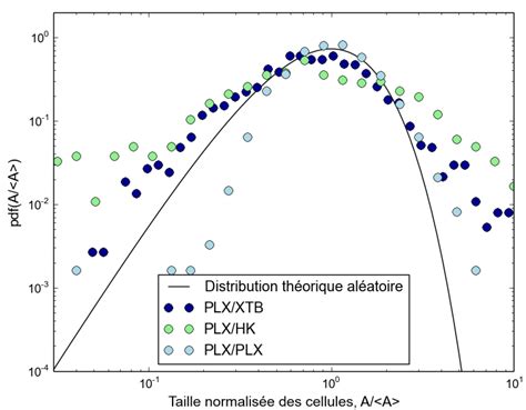 Trois Cas Typiques De Distributions De Taille Normalis E Des