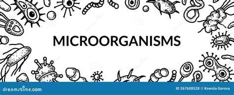 Microbiology Banner. Collection of Different Types of Microorganisms Stock Vector - Illustration ...