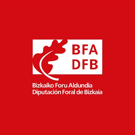 Diputación Foral de Bizkaia HD logo png PNGWing