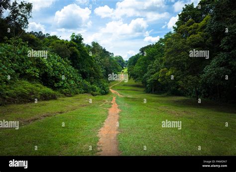 Dirt Hiking And Mountain Biking Trail In Bukit Timah Nature Park Leading