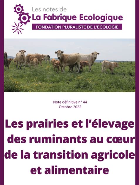 Les Prairies Et Lélevage Des Ruminants Au Coeur De La Transition