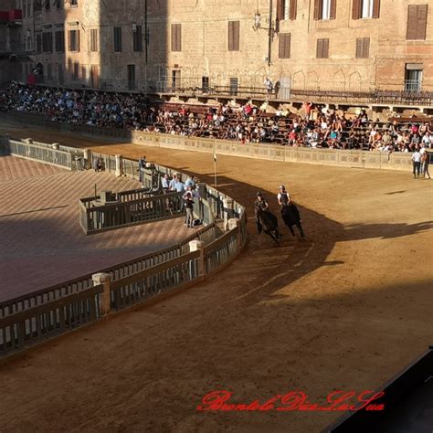 Palio Siena Il Dopo Prove Di Notte Brontolo Dice La Sua Giornale