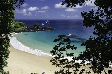 O Que Fazer Em Fernando De Noronha Pe Pontos Tur Sticos E Passeios