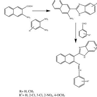 Schematic Representation Of H Benzo D Imidazol Yl N