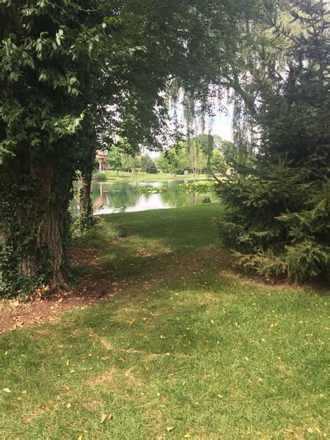 An Empty Path In The Middle Of A Grassy Area With Trees And Water Behind It