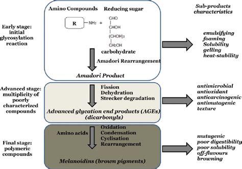 Stages Of The Maillard Reaction And Sub Products Characteristics Download Scientific Diagram