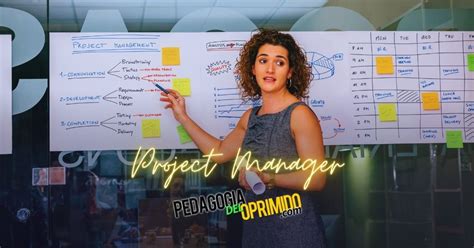 Qu Son Las Habilidades O Skills Del Project Manager