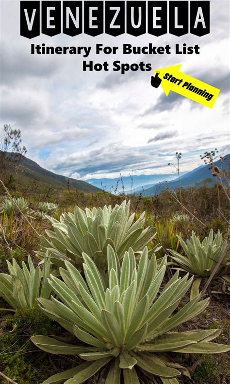 33 Great Venezuela Traditional Recipes | South america travel, America