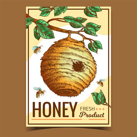 Beehive House Of Wild Bee On Branch Poster Vector 17589307 Vector Art at Vecteezy