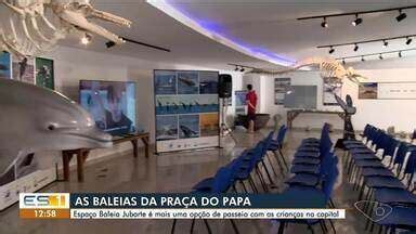 Gazeta Meio Dia Espa O Baleia Jubarte Mais Uma Op O De Passeio