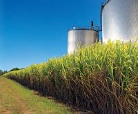 Brazil Pours Billions Into Ethanol Expansion Sugar Industry