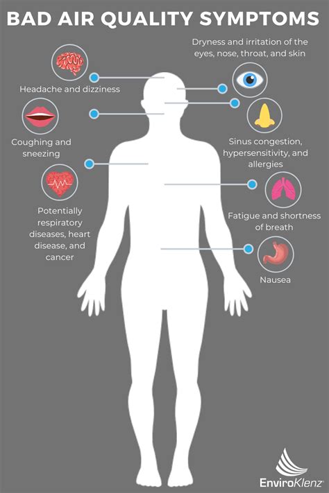 How To Clean The Air In Home During Self Quarantine EnviroKlenz