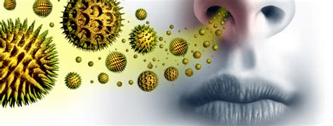 Managing Hay Fever Symptoms During A High Pollen Count Allergy Uk National Charity