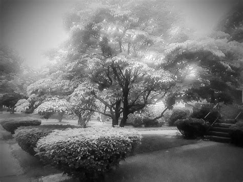 Landscaped In Humid Air by morningstarskid on DeviantArt