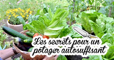 Les Secrets Pour Un Potager Autosuffisant Dr Jonquille Mr Ail