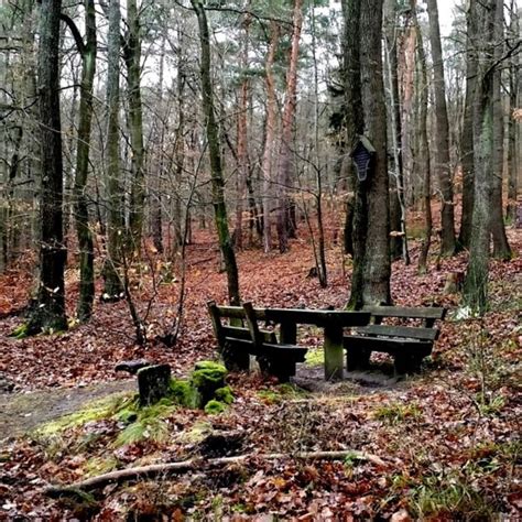 Wandern Pfälzer Rundwanderung mit Einkehr Lindemannsruhe Tour 154088