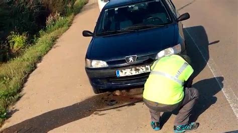 Aparatoso Accidente Con Un Jabal Que Queda Atrapado Bajo El Coche Y Es