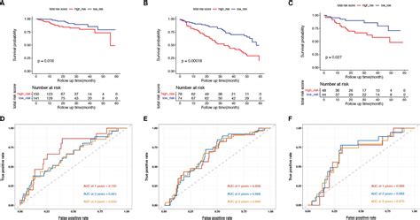 Frontiers A Senescence Based Prognostic Gene Signature For Colorectal