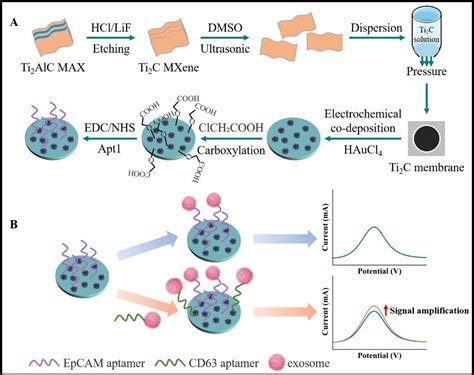 Novel Electrochemical Biosensor For Early Cancer Detection