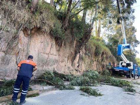 Defesa Civil Realiza Poda Preventiva De Rvores Na Rua S Rgio Shigeru