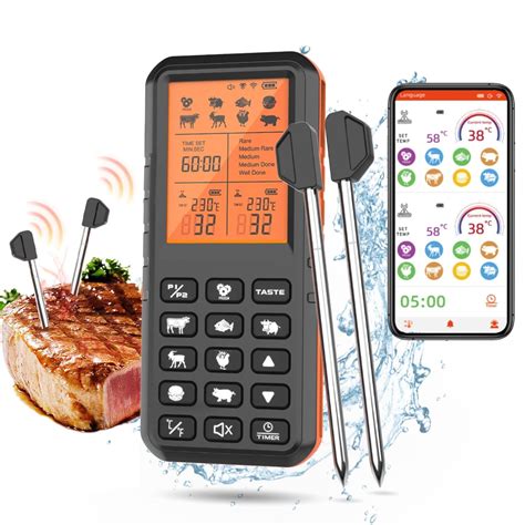 Edcsi Wireless Meat Thermometer Review Bbq Thermo Hub