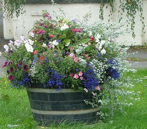 The 25 Best Whiskey Barrel Planter Ideas On Pinterest Container