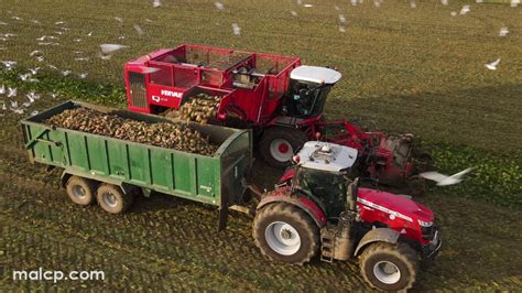 Harvest Sugar Beet Harvesting With Forrest Farm S Vervaet Q