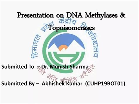 Dna Methylases Topoisomerases Ppt