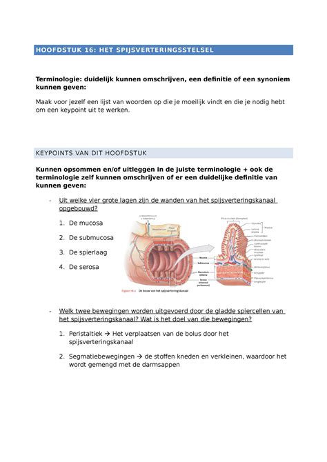 Af Key Points Het Spijsverteringsstelsel Hoofdstuk Het