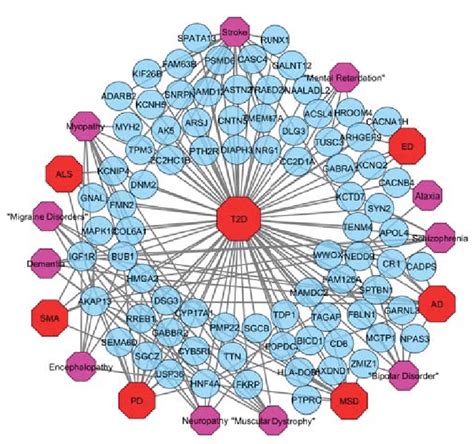 Gene Disease Association Network GDN Of T2D And Neurological Diseases